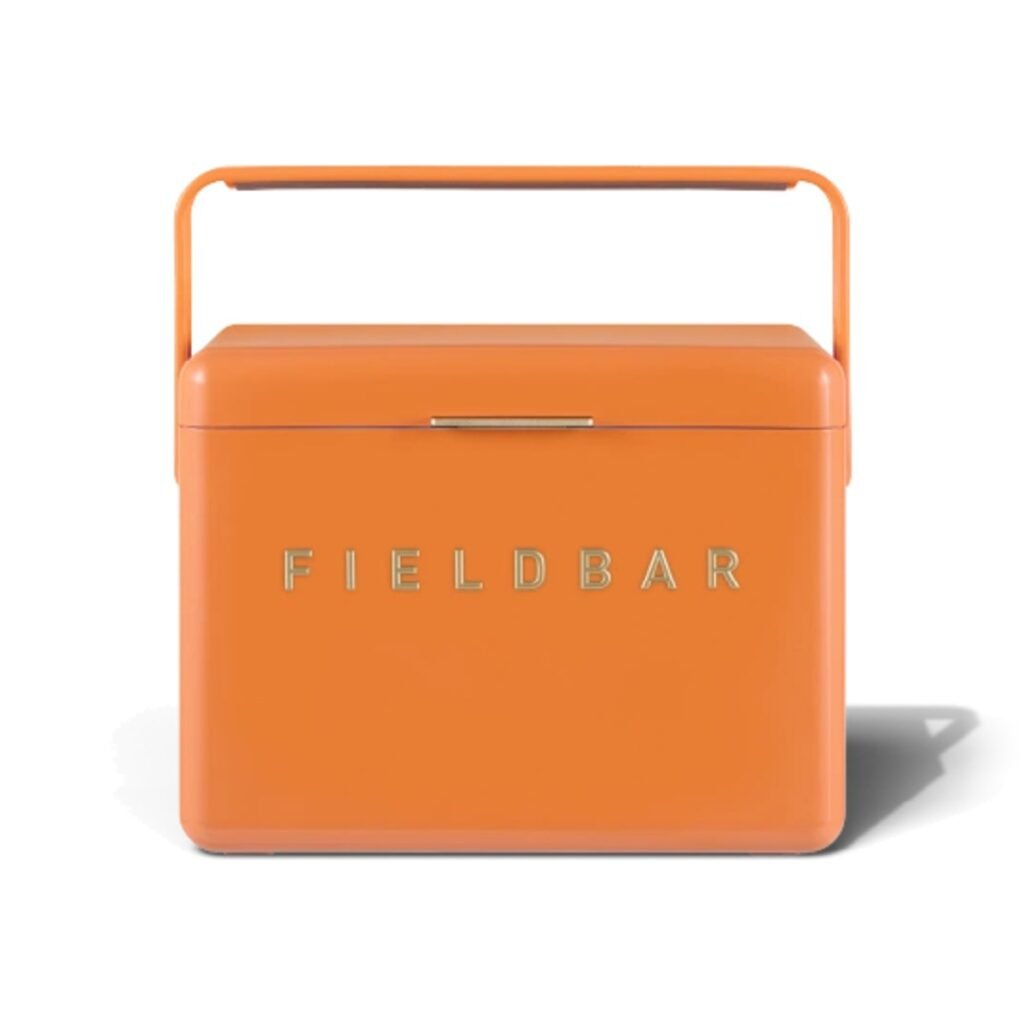 Fieldbar 4L Mini Bar cooler box in Orchard Orange, front view on a white background