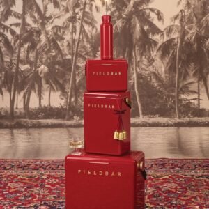 Fieldbar 24L Gin Trunk cooler box in Lobster Red